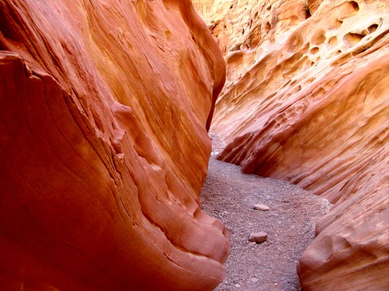 04160302LittleWildHorse (1078)